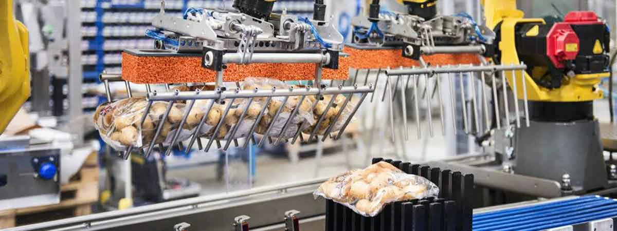 Customize a Food Processing Line