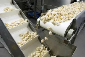 How to Choose a Right Food Machinery Supplier for Your Business