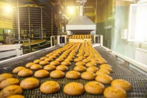 Food Processing Equipment Buying Guide