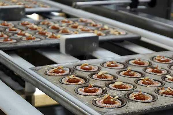 How to Import Food Machine from China