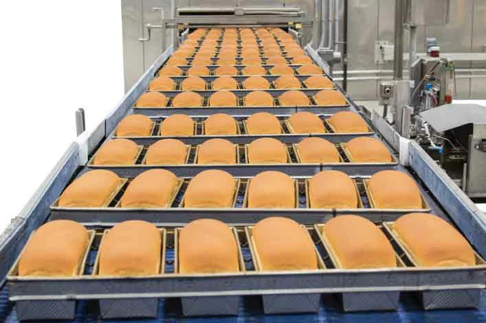 Machinery Features That Support Food Safety Protocols