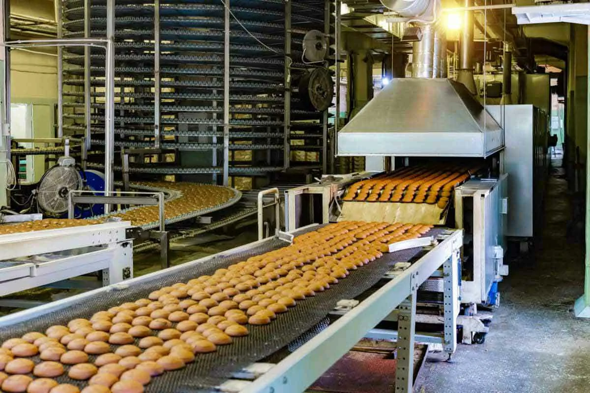 Pros and Cons of Using Food Processing Machinery